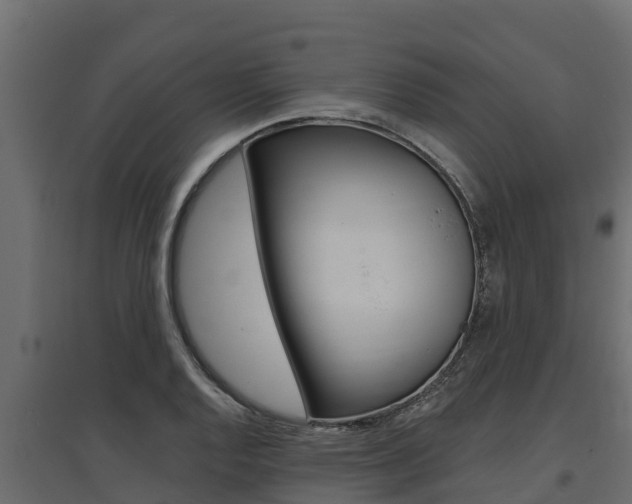 X0000097771128200803070854