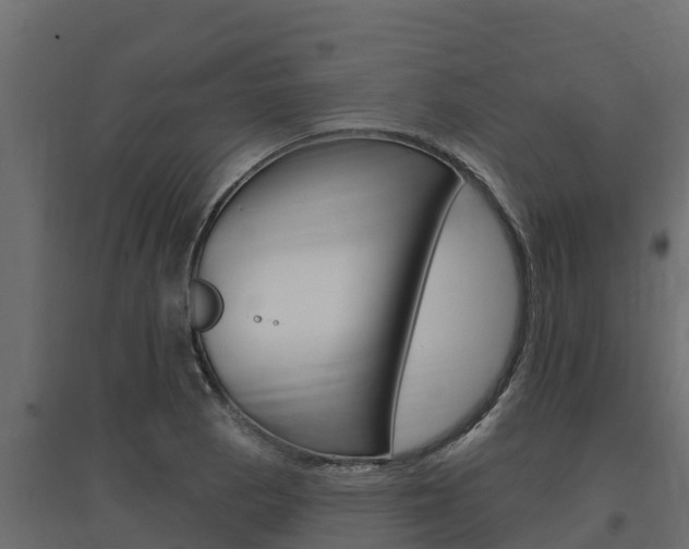 X0000097771129200803070854