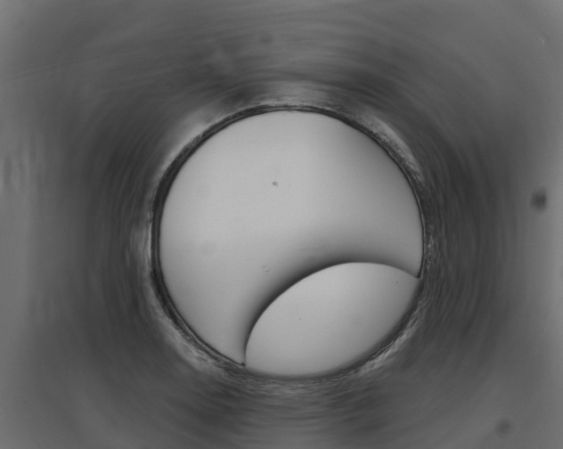 X0000097771130200803070854