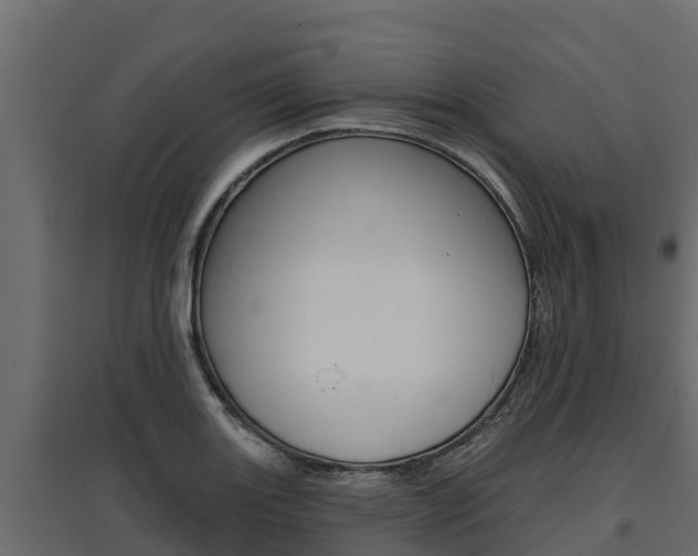X0000097771131200803070854
