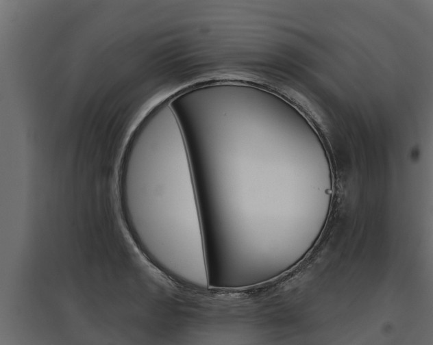 X0000097771133200803070854