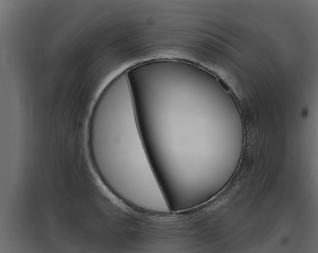X0000097771134200803070854