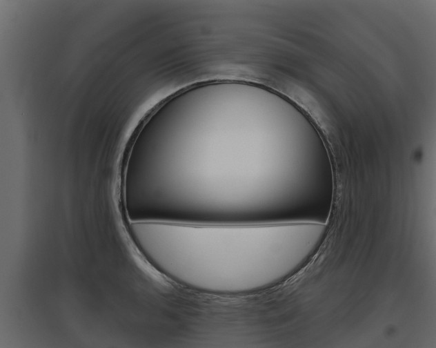 X0000097771136200803070854