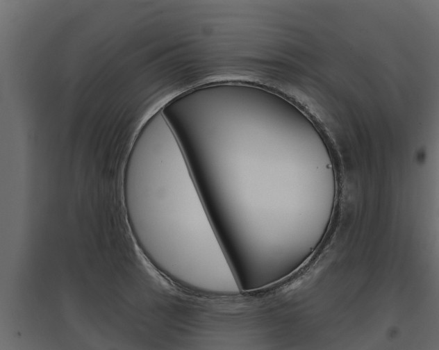 X0000097771137200803070854