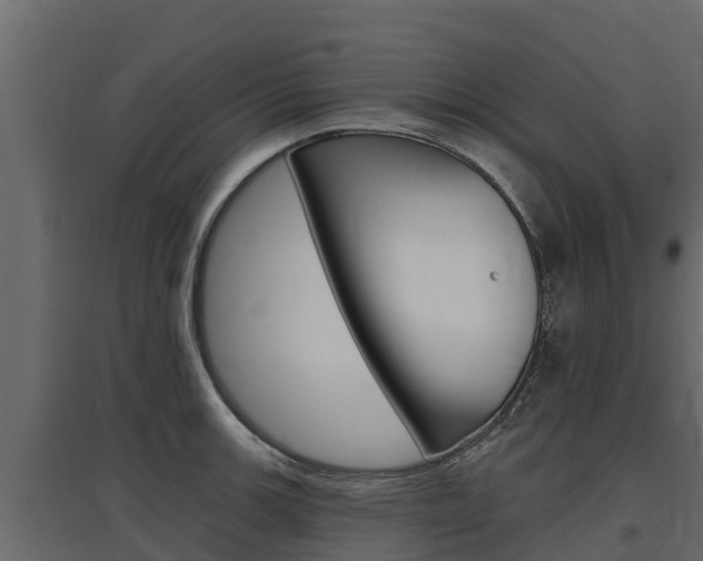 X0000097771139200803070854