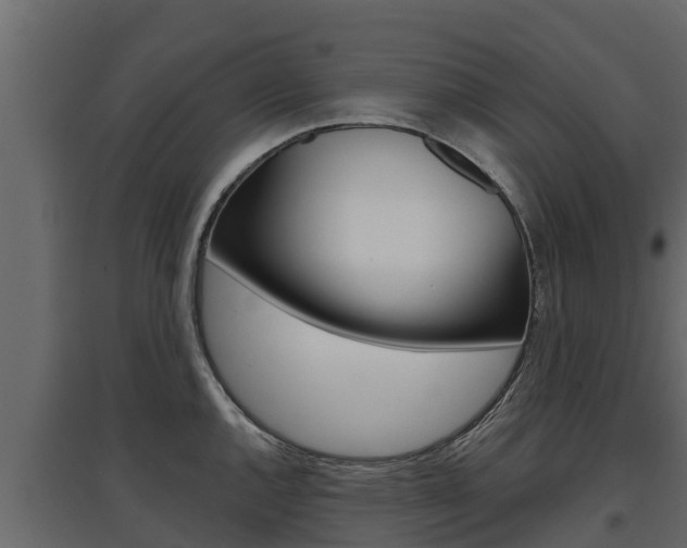 X0000097771144200803070855