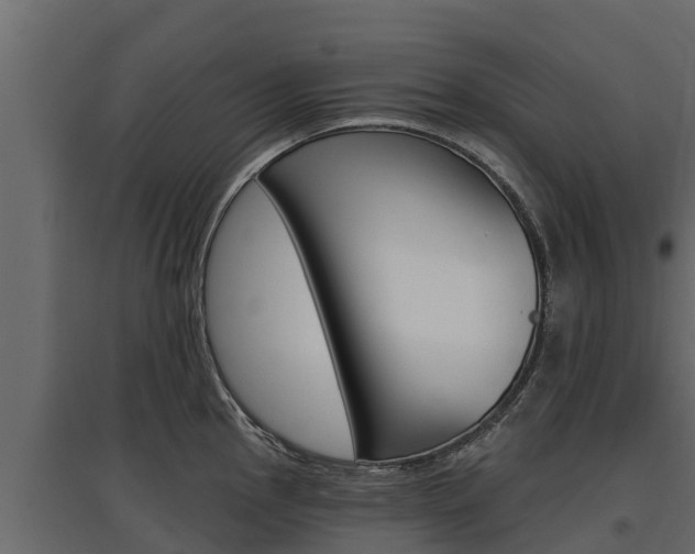 X0000097771145200803070855