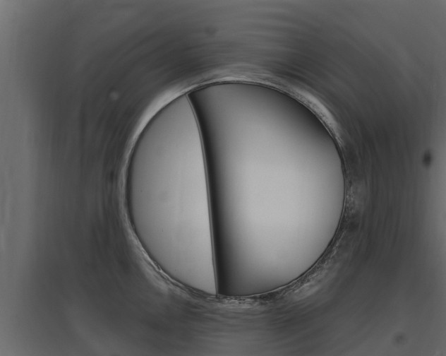 X0000097771146200803070855