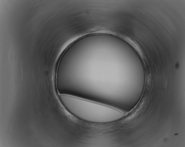 X0000097771149200803070855
