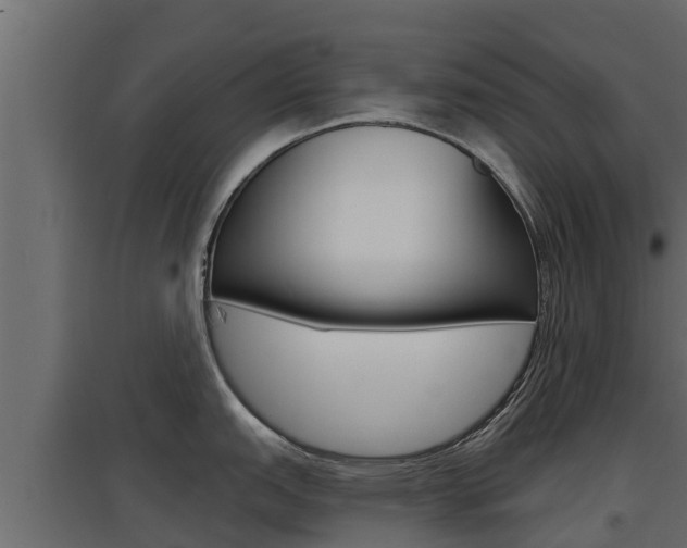 X0000097771151200803070855