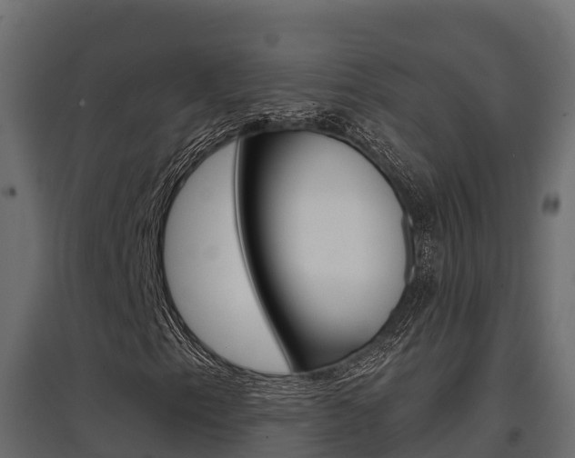 X0000097771153200803070854