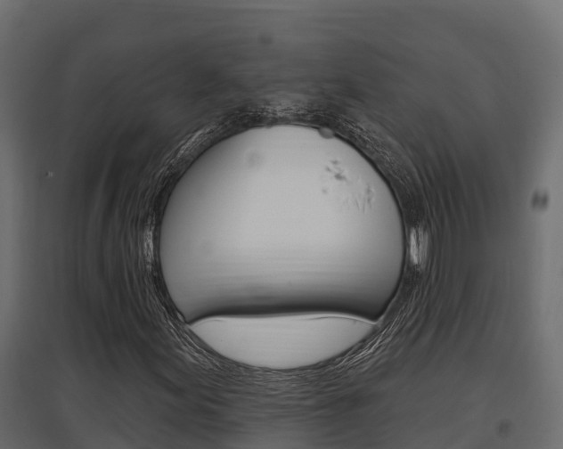 X0000097771155200803070854