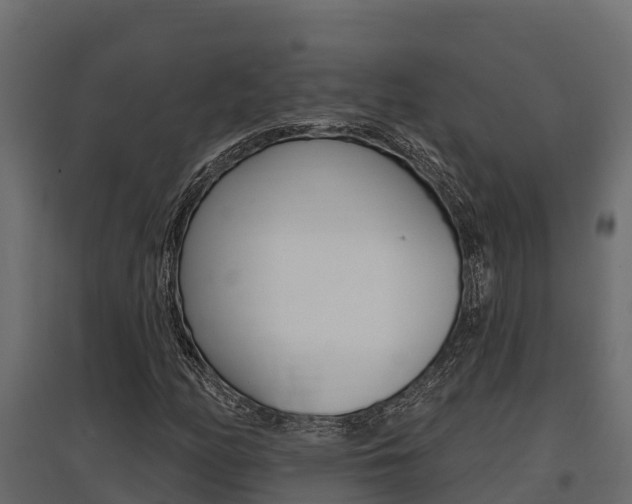 X0000097771158200803070854