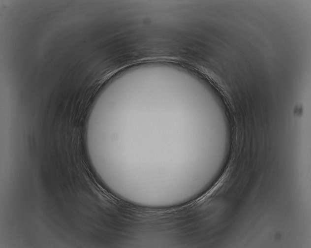 X0000097771161200803070854