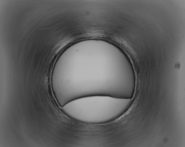 X0000097771162200803070854