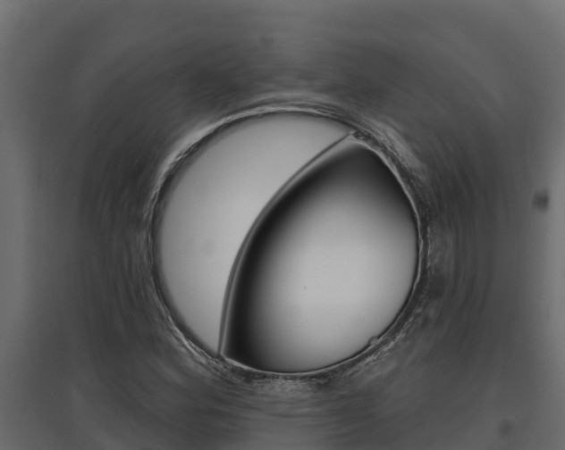 X0000097771164200803070854