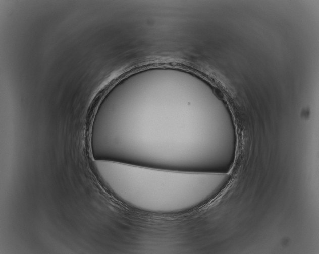 X0000097771165200803070854