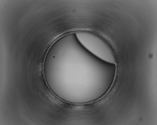 X0000097771169200803070854