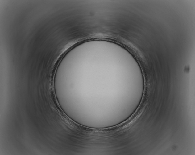 X0000097771170200803070854