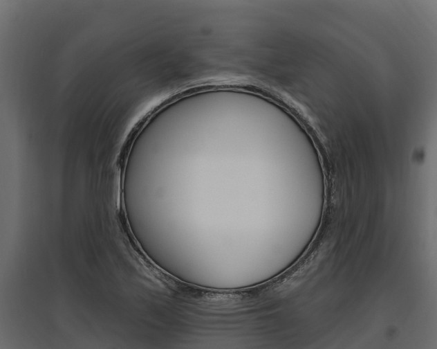 X0000097771171200803070854