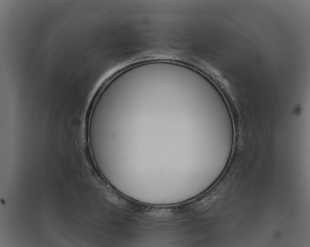 X0000097771174200803070854
