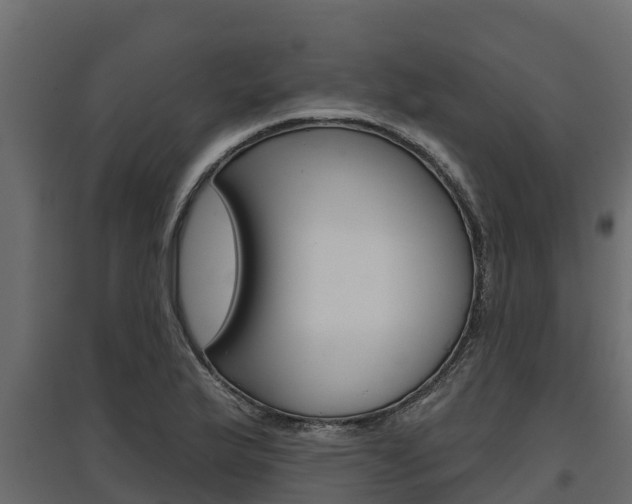 X0000097771175200803070854