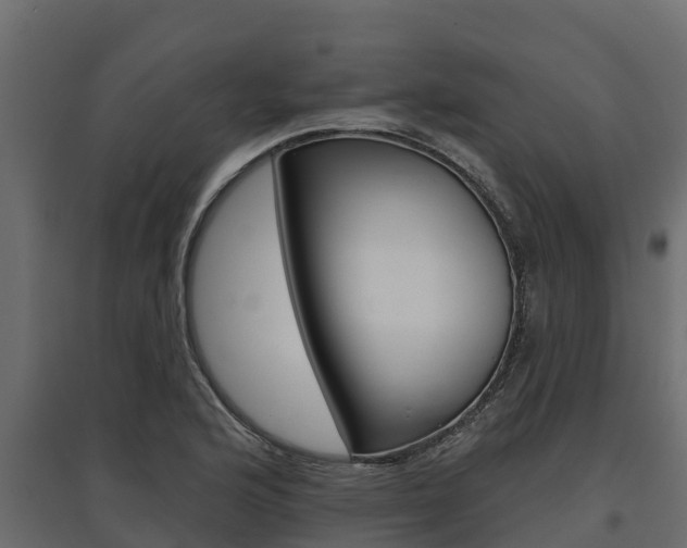 X0000097771176200803070854