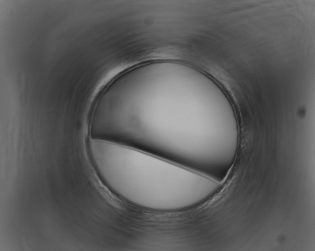 X0000097771179200803070853