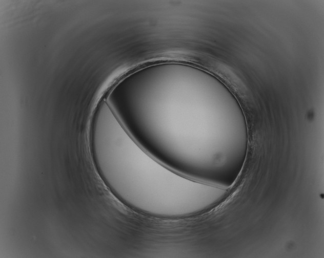 X0000097771180200803070853