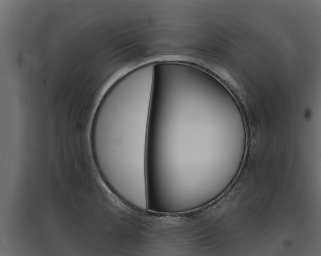 X0000097771181200803070853