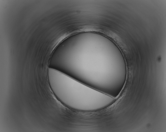 X0000097771185200803070853