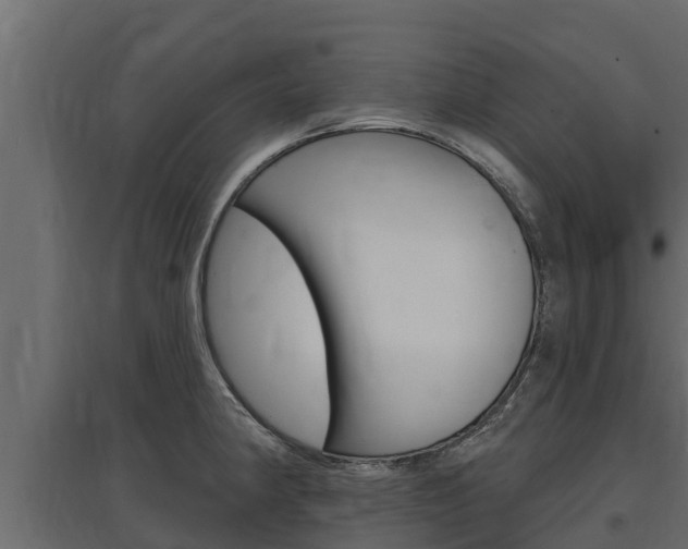 X0000097771190200803070853