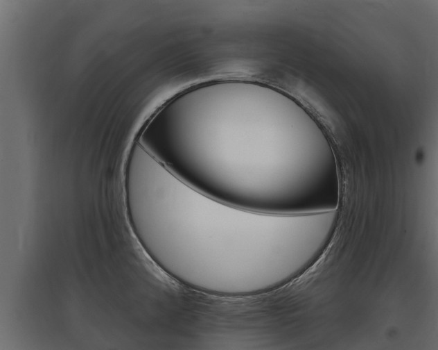 X0000097771192200803070853