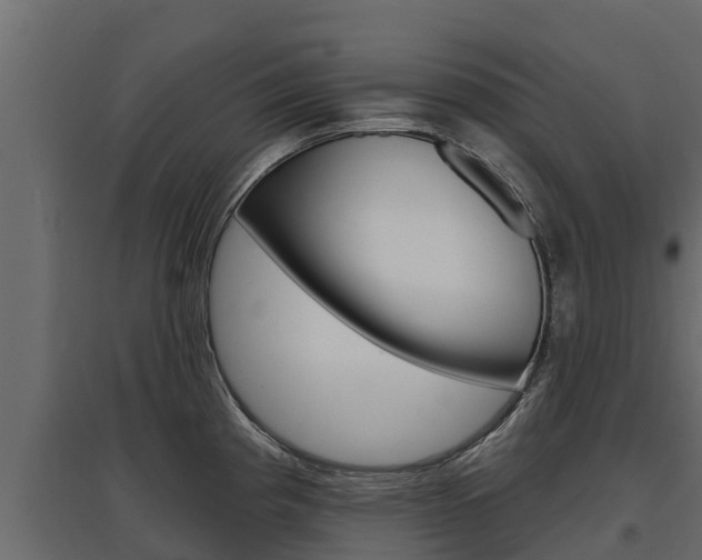 X0000097771193200803070853