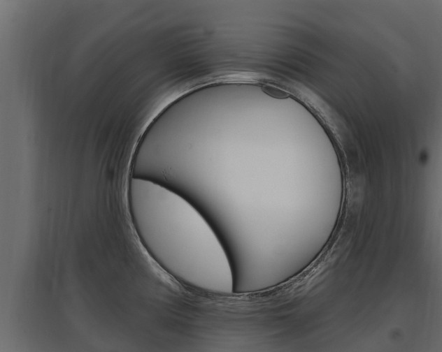 X0000097771194200803070853