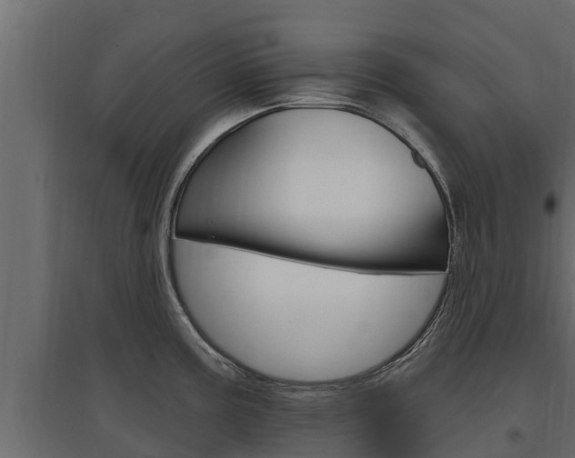 X0000097771195200803070853