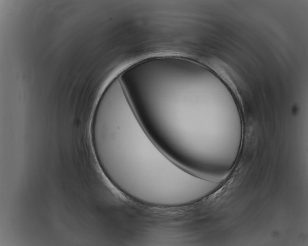 X0000097771197200803070853