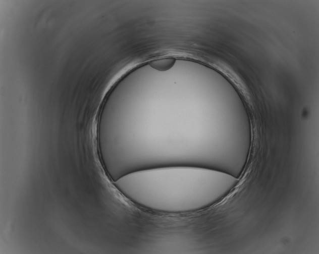 X0000097771198200803070853