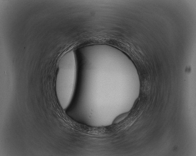 X0000097771201200803070852