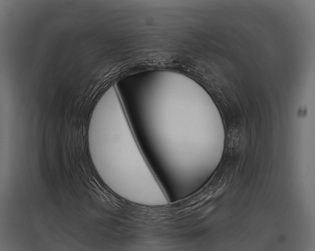 X0000097771202200803070852