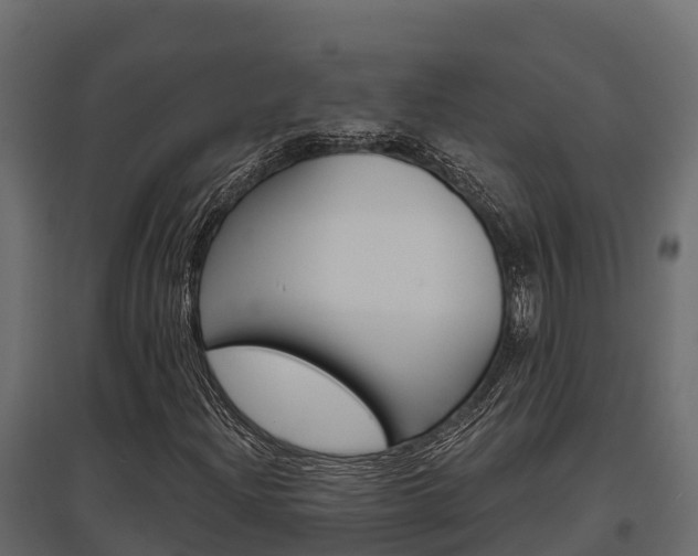 X0000097771204200803070852