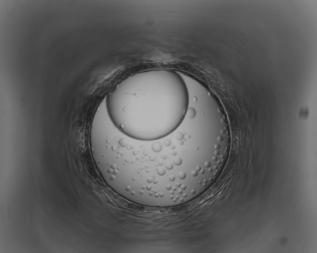 X0000097771205200803070852