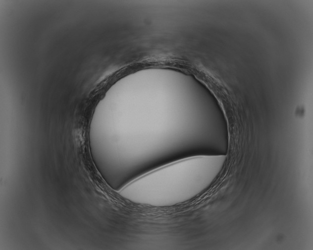 X0000097771206200803070852