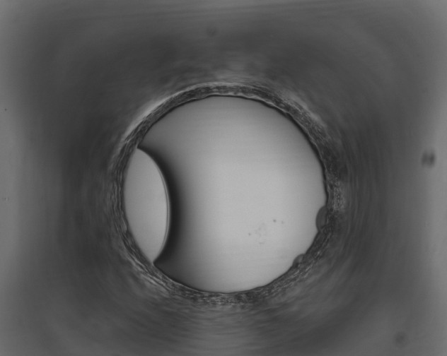 X0000097771208200803070852