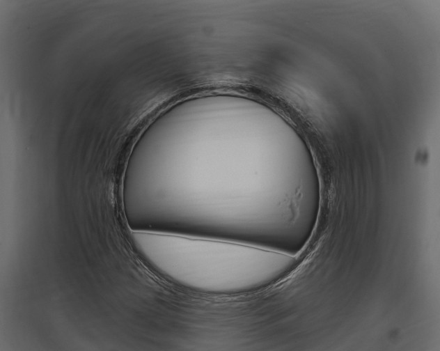 X0000097771209200803070852