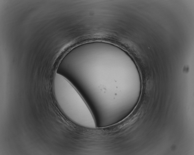 X0000097771210200803070852