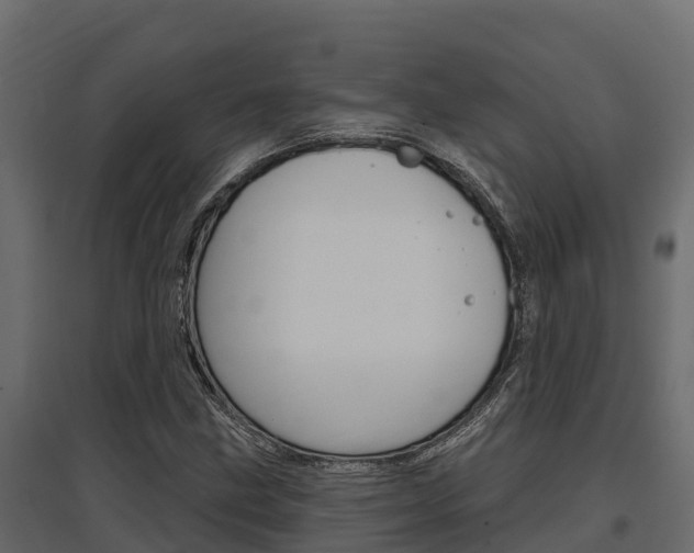 X0000097771211200803070852