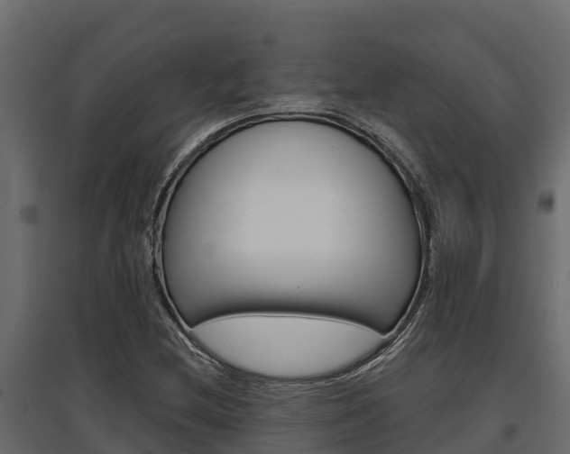 X0000097771212200803070852