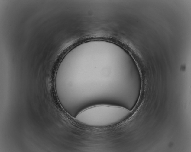 X0000097771213200803070852
