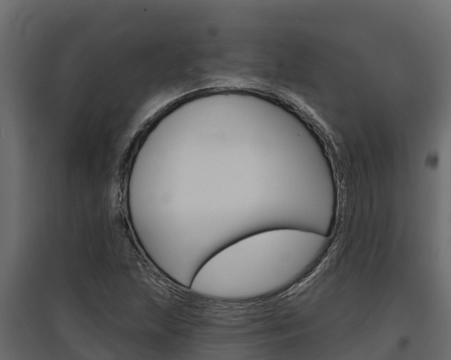 X0000097771215200803070852